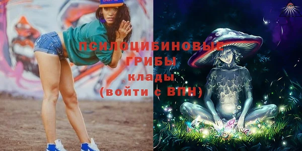 винт Арсеньев