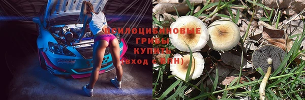 ECSTASY Армянск