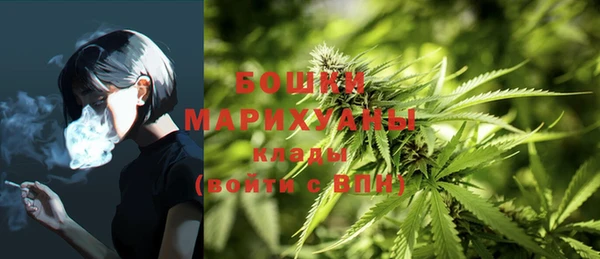 винт Арсеньев